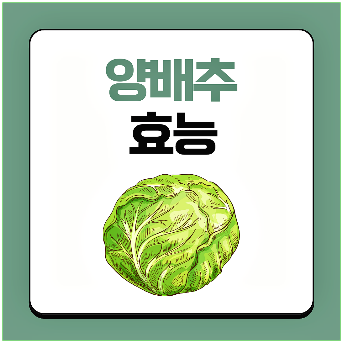 양배추 다이어트