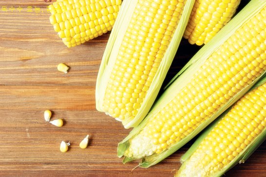 옥수수 효능