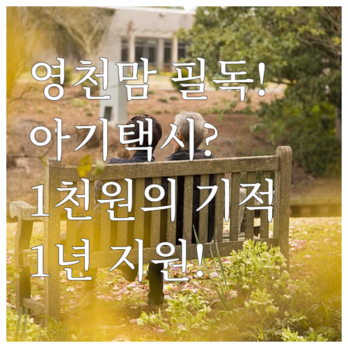 2025 영천시 아기사랑택시 출산 후..