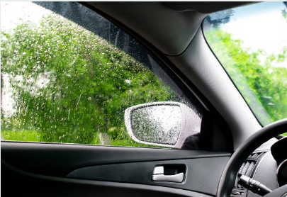 자동차정기검사조회