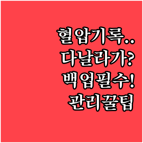 데이터 유실 걱정 없는 혈압 어플 백..