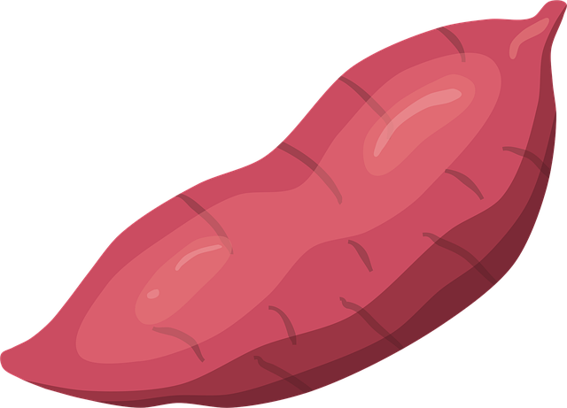 고구마 관련 사진