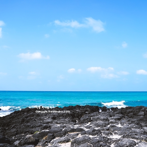 제주 곽지해수욕장
