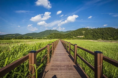 5월-국내-여행지-추천-순천