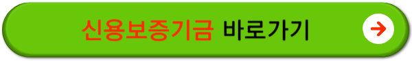 소상공인 정책자금 대리대출 후기