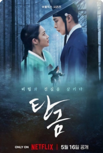 넷플릭스 탄금