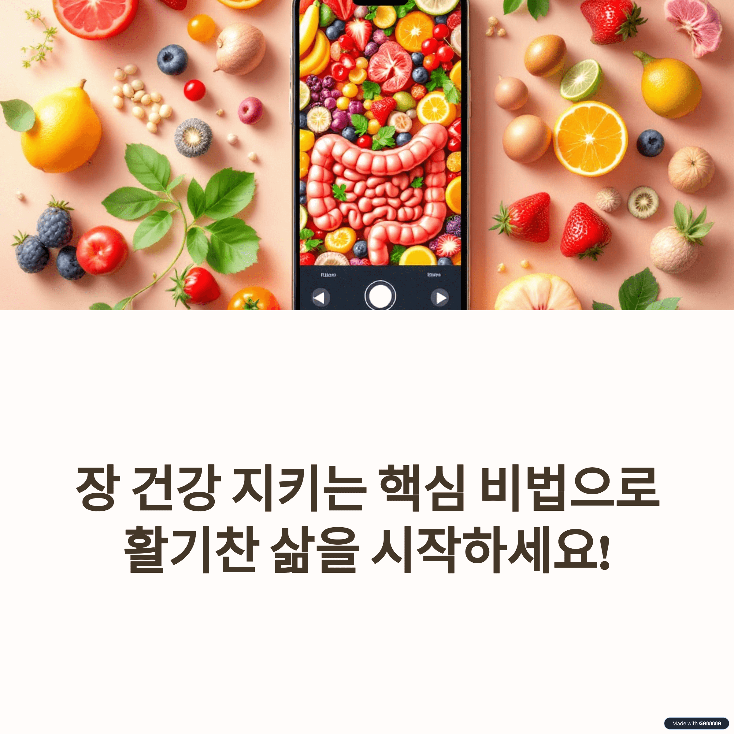 장 건강 지키는 핵심 비법: 식이섬유, 유산균, 발효 식품의 효능