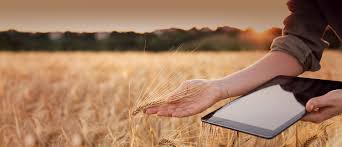 농업직불금 온라인 교육 신청