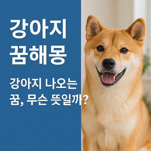 강아지-꿈해몽-강아지-나오는-꿈,-무슨-뜻일까