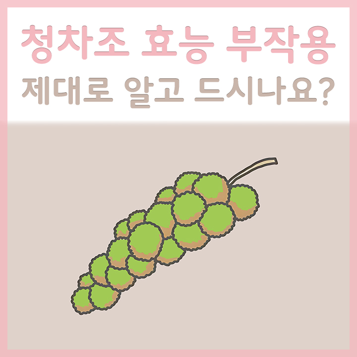 청차조