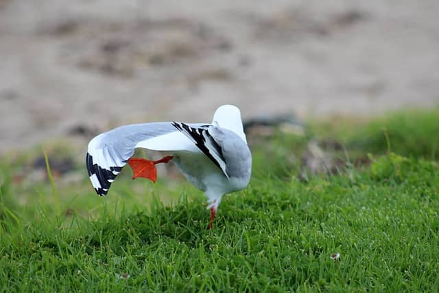 북미 지역의 폐가전 재활용 자동화 기술 투자 규모
