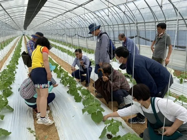 농업 교육 수강 농업기술센터 온라인 강좌 자격증 실습 정보_5