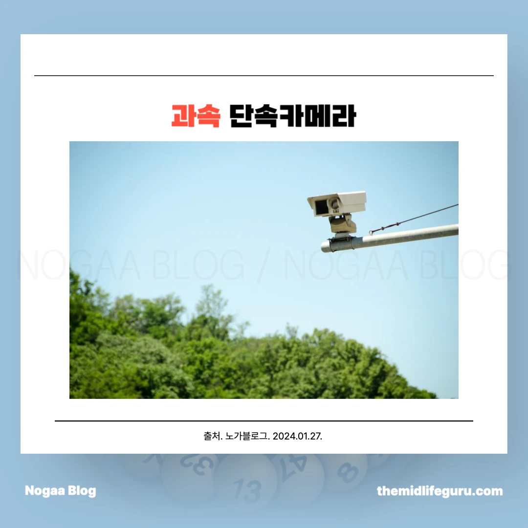 과속 단속카메라 종류