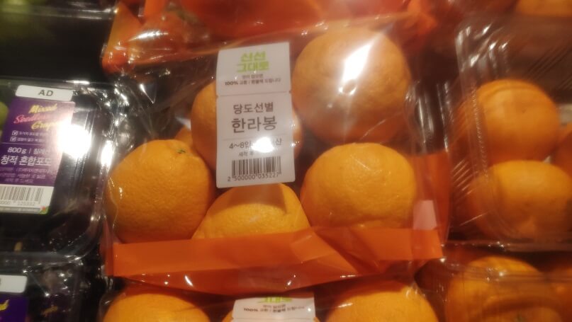 한라봉 매장