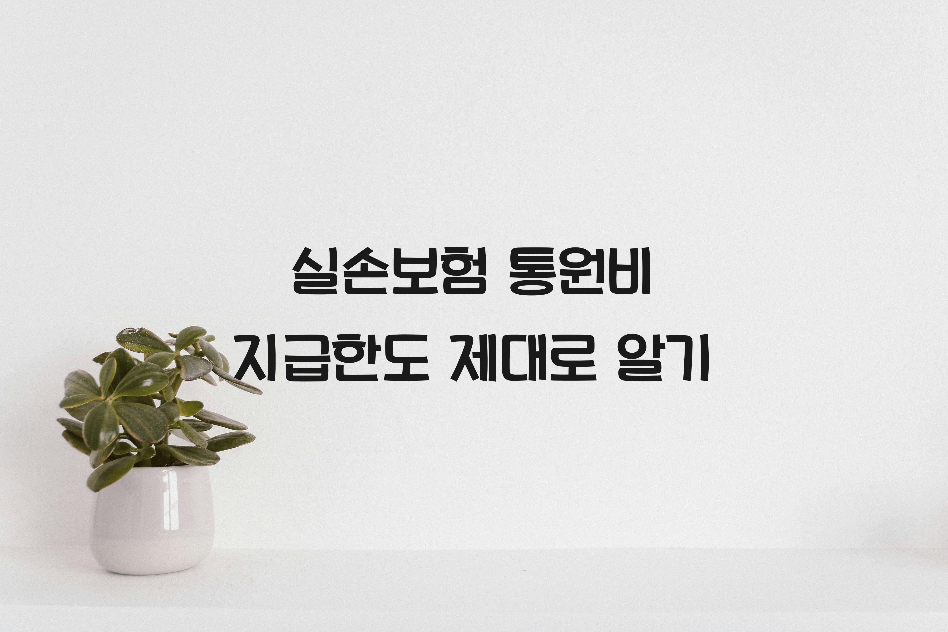 실손보험 통원비 지급한도