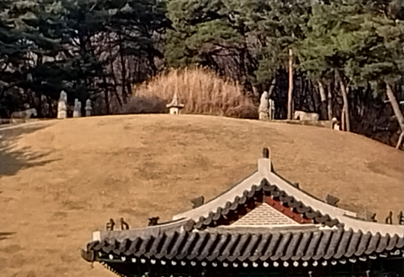 태조 이성계의 건원릉 억새 봉분 전경