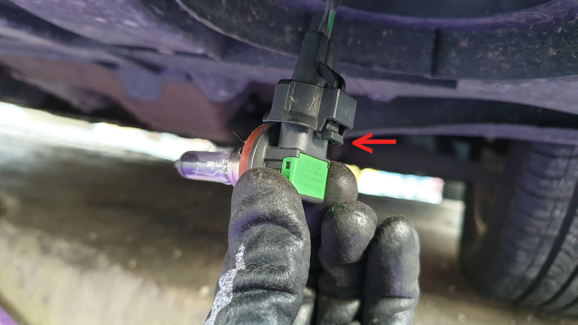 안개등 전구와 소켓