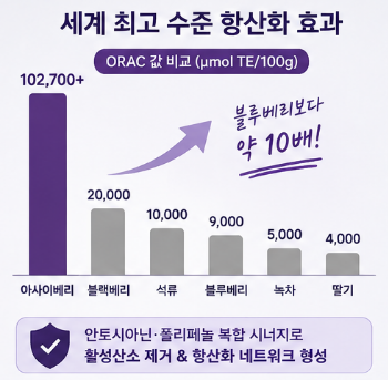 아사이베리분말-효능-먹는방법-부작용-항산화-효과