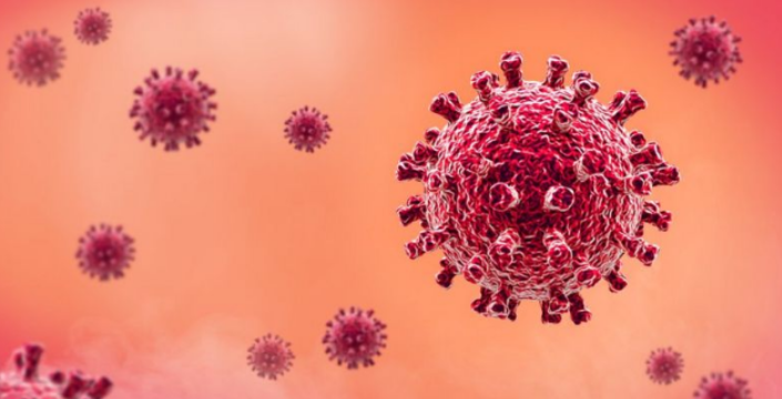 코로나 변이별 증상 특징