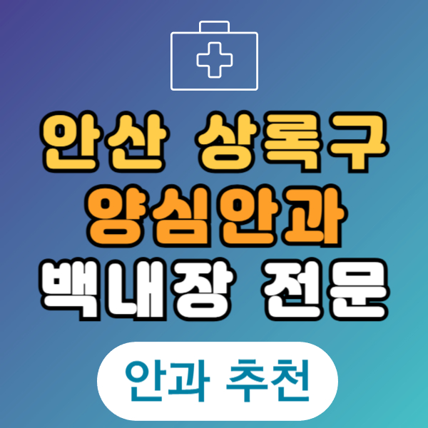 안산 상록구 백내장 전문 병원 List 수술 잘하는 안과 추천