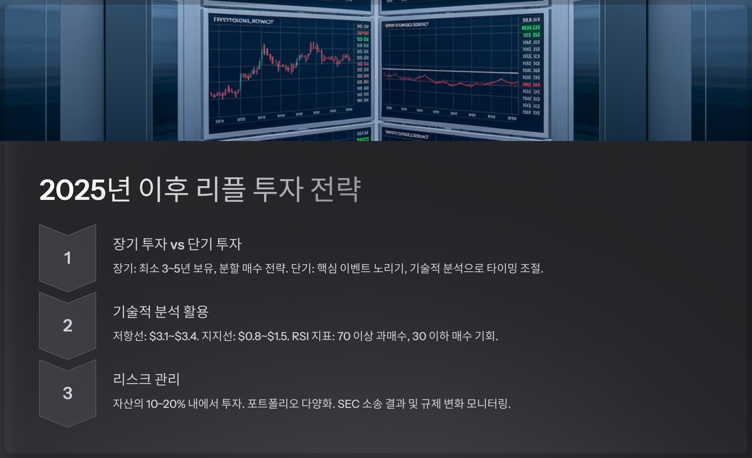 2025년 이후 리플 투자 전략