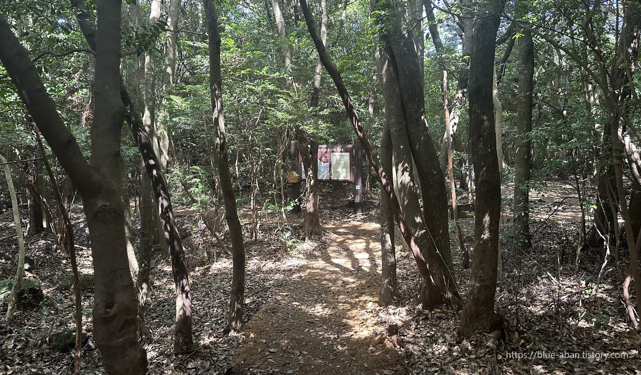 동백동산-산책로