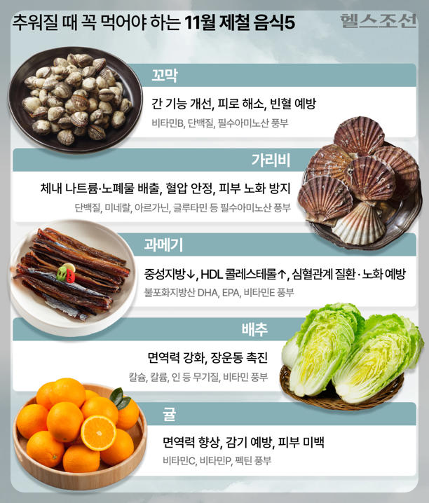 11월_제철음식_5가지