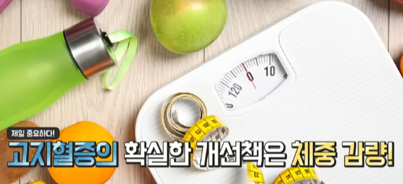 고지혈증 약 없이 건강한 혈관 만드는 법