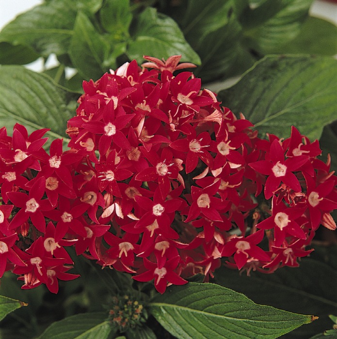 순천만 국가정원