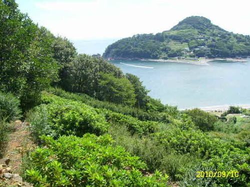 생생정보 내도 유경식당 거제도외포멸치 바람의제트보트 안나의화원