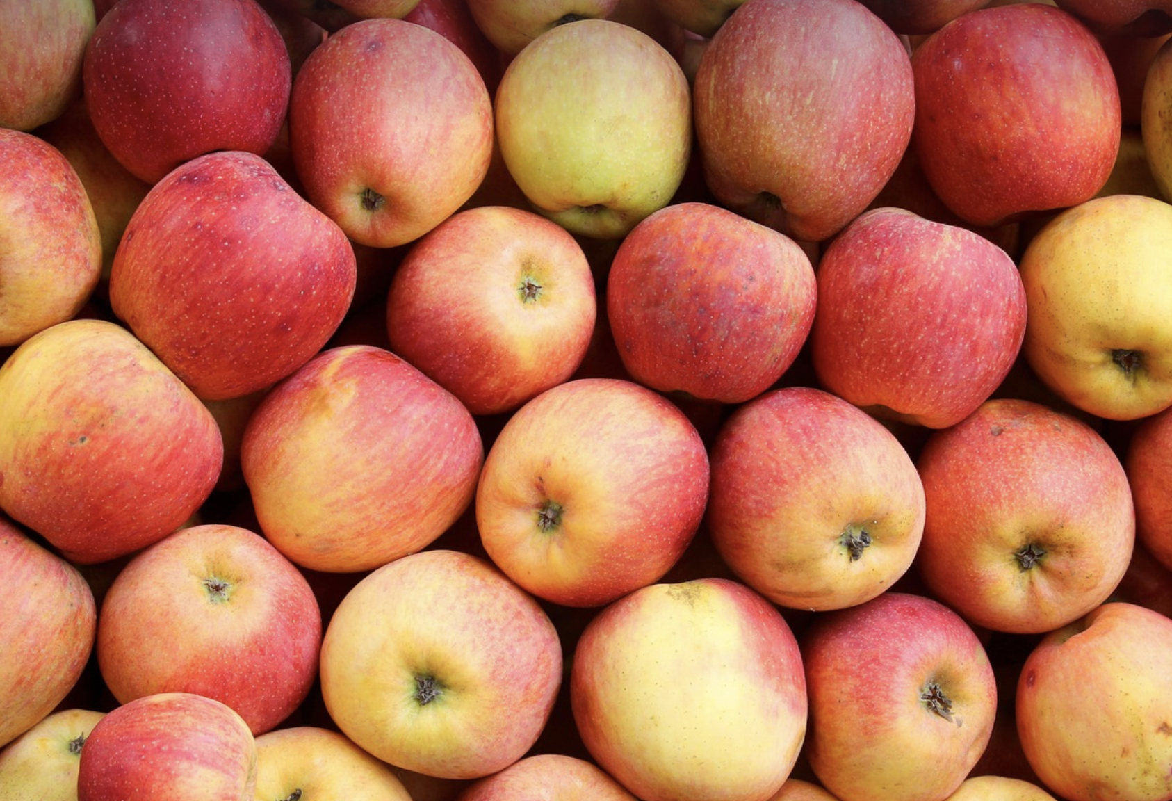 [사과] 이렇게 먹으면 10년 젊어지는 사과! 껍질까지 챙겨야 하는 이유는?