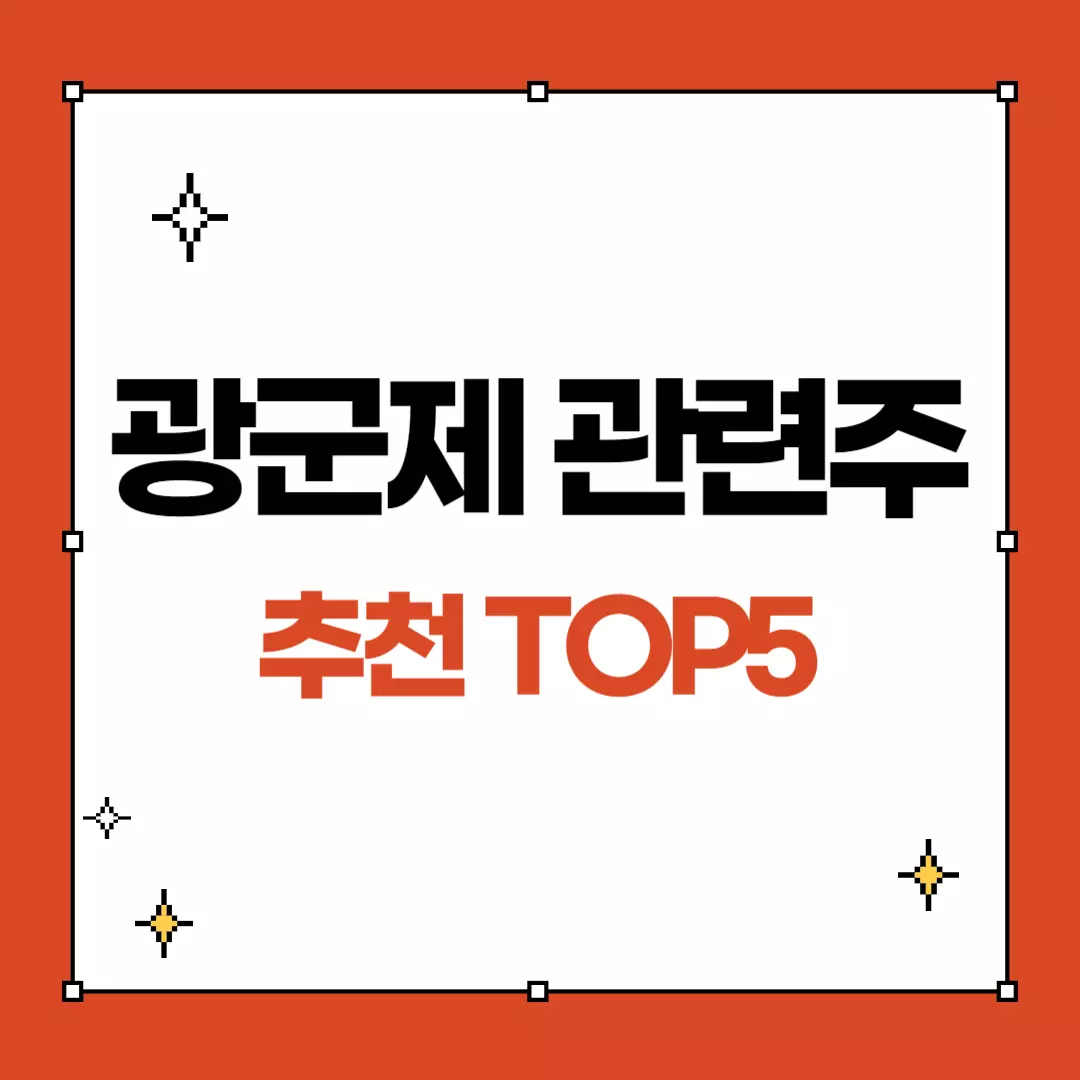 광군제 관련주
