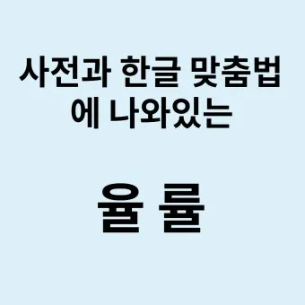 율 률 맞춤법 완벽정리 합격률 합격율_8