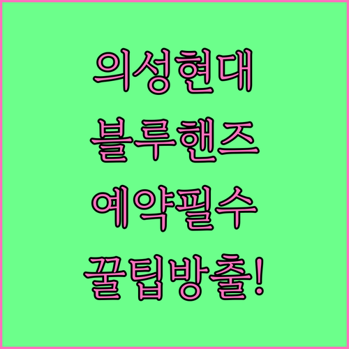 의성 현대자동차 블루핸즈 예약 방법과..