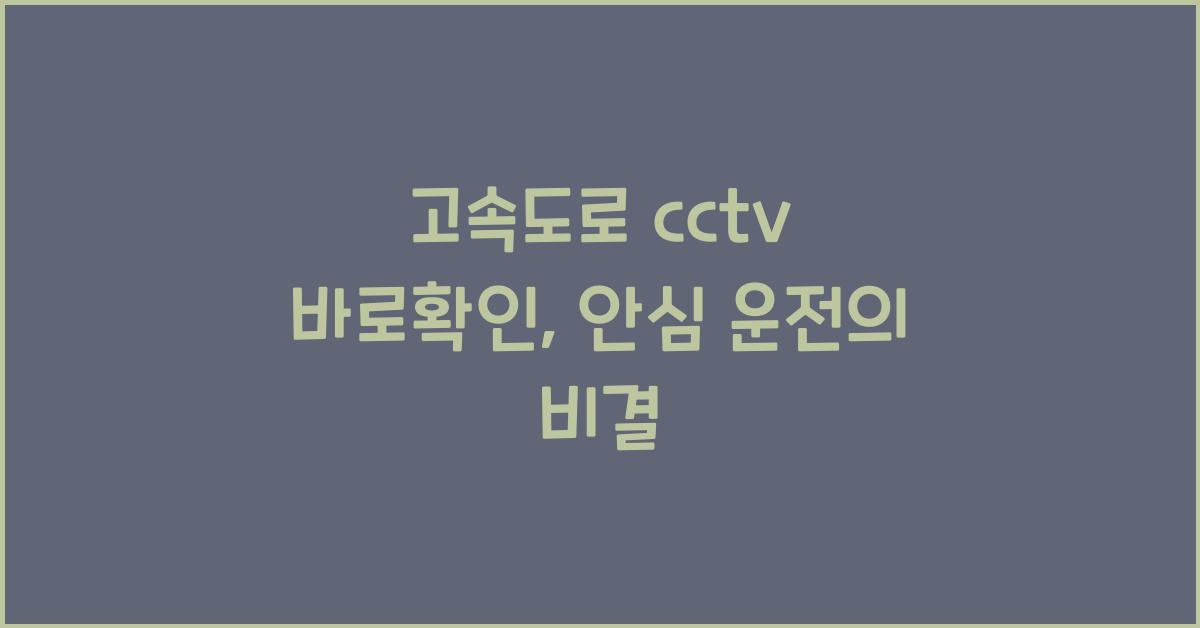 고속도로 cctv 바로확인