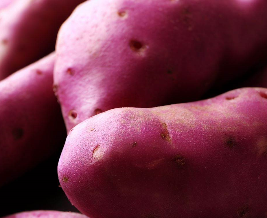 천식에 좋은 비타민A 함유 음식