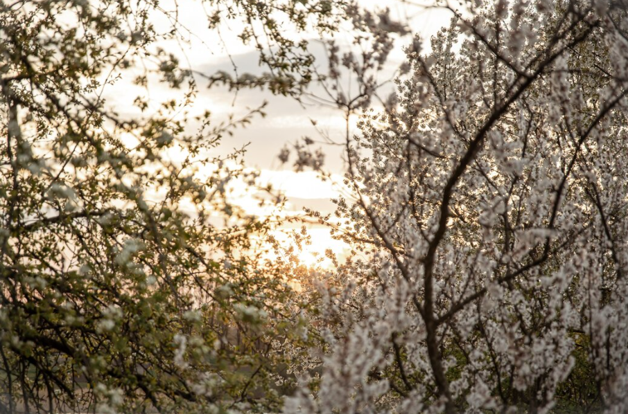 2024년 4월 주간별/지역별 날씨 전망