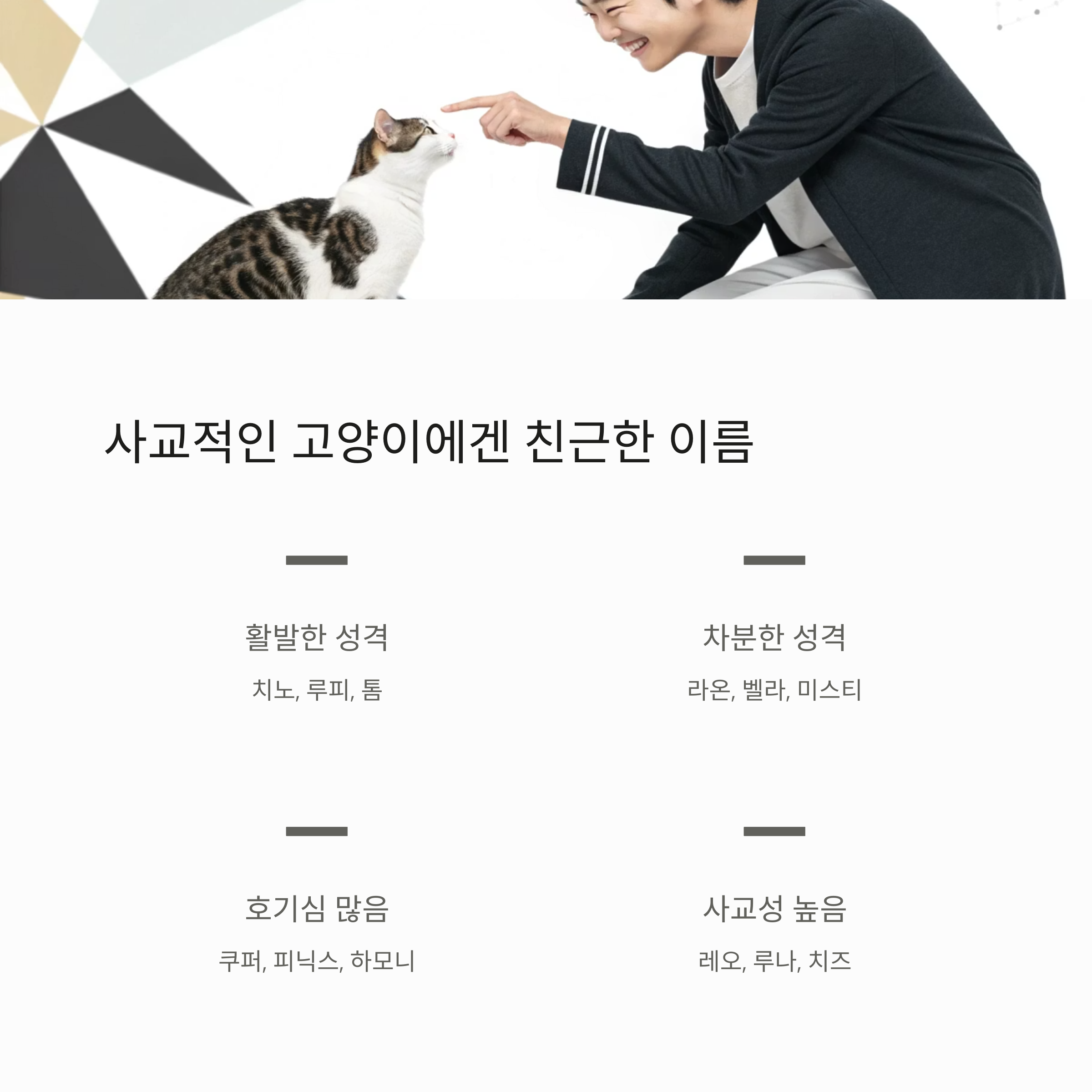 사교적인 고양이에겐 친근한 이름