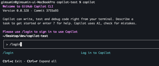 Copilot CLI 터미널에서 /login 입력한 화면