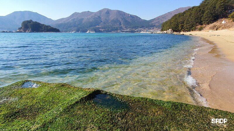 구조라해수욕장-구조라해수욕장노지차박캠핑-거제도구조라해수욕장