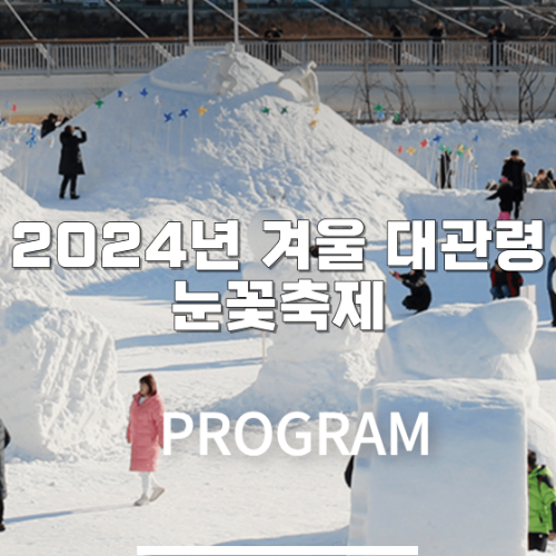 2024년 겨울 대관령눈꽃축제
