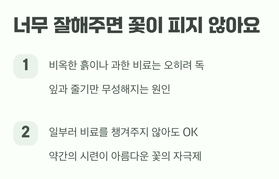 꽃을 위한 약간의 시련