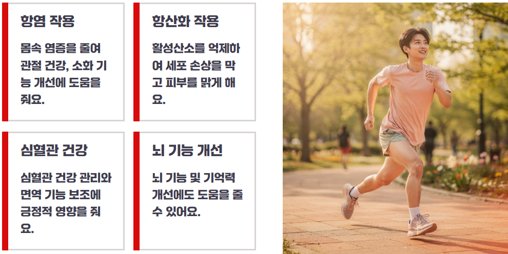 커큐민 효능, 부작용