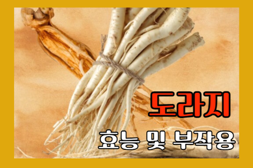 도라지(도라지차, 도라지청) 효능 9가지 및 부작용과 주의사항