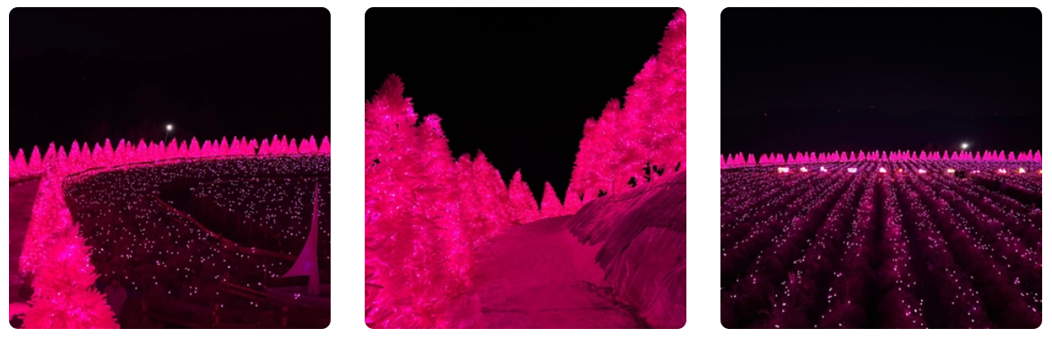 전국 축제 일정 04