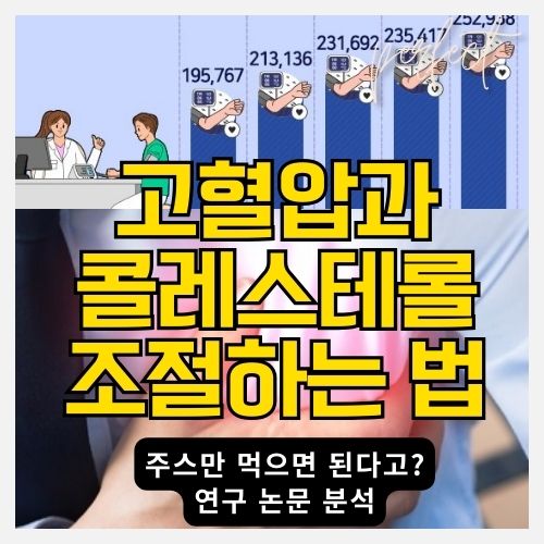 비트의 혈압 조절 효과- 콜레스테롤과 고혈압을 개선하고 건강한 혈관 건강을 위한 천연 솔루션 썸네일