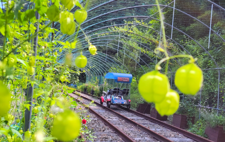 진주 레일바이크