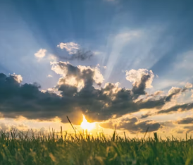 비타민d 하루 권장량 먹는법