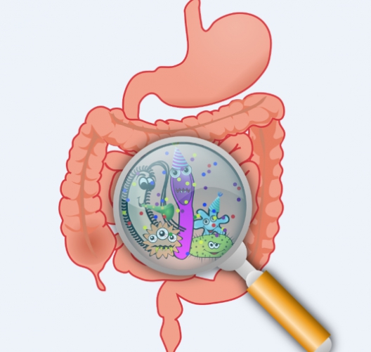 변비 / 가스 팽만