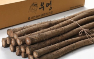 우엉차 이미지